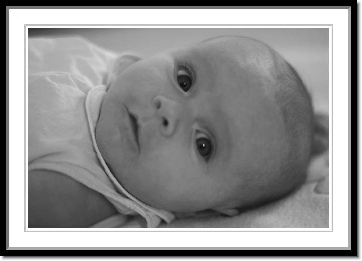 Click for the original image